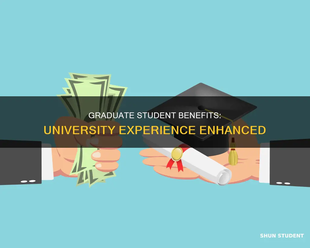 why attend a university with graduate students