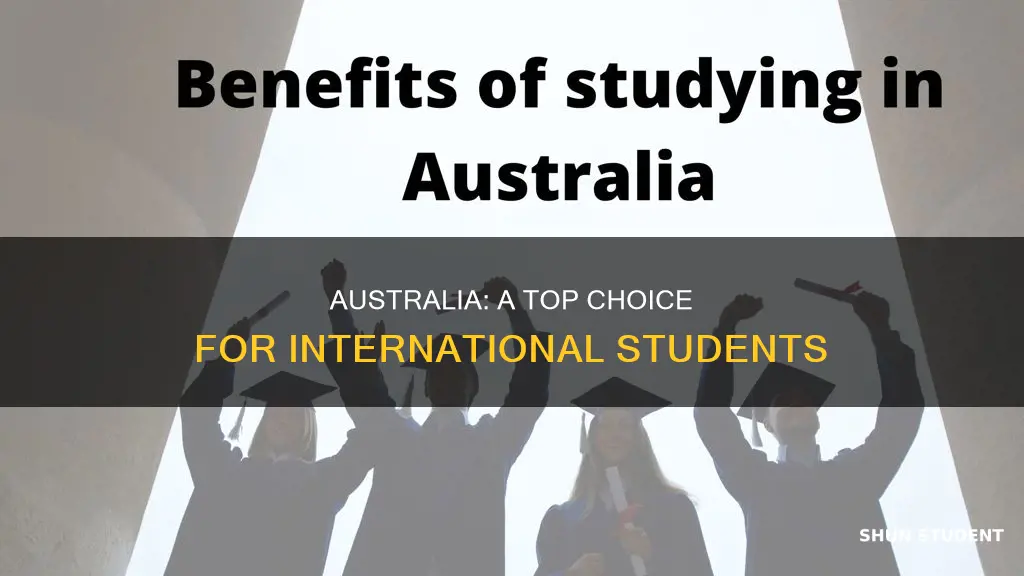 why australia for international students