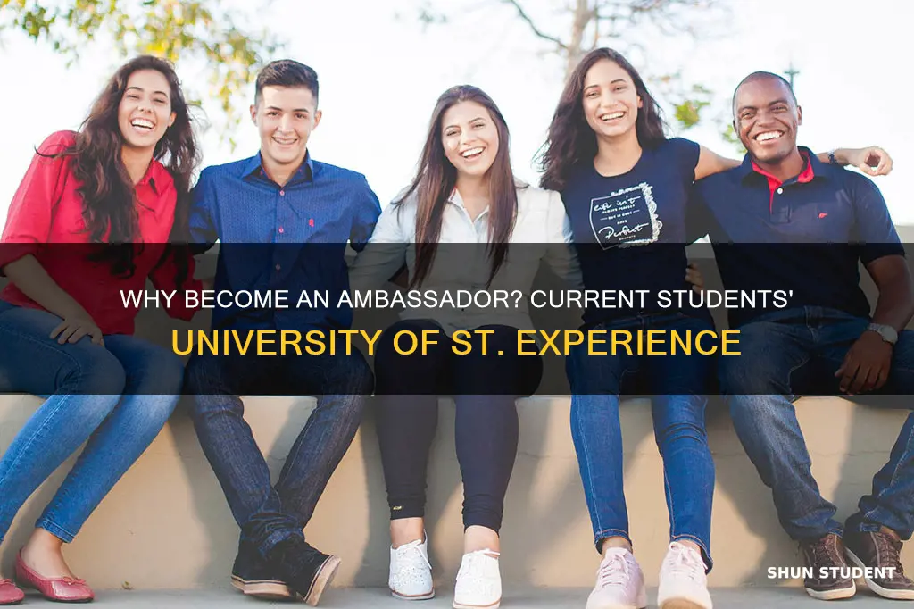 why become an ambassador current students university of st