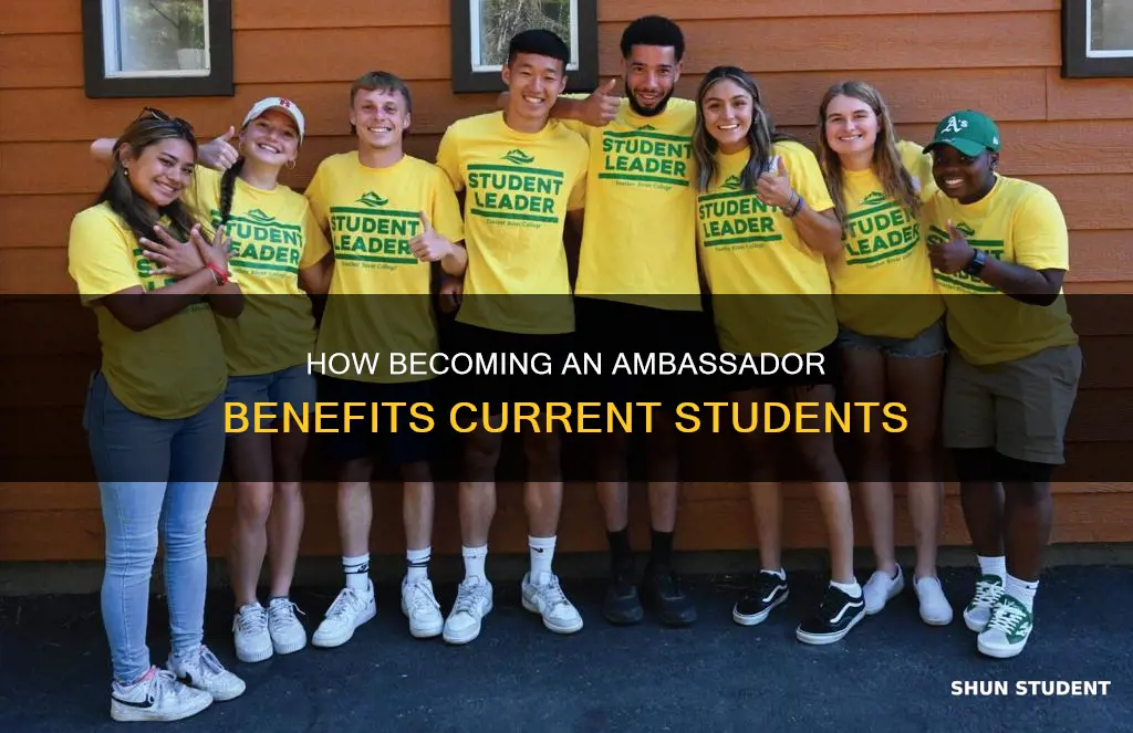 why become an ambassador current students university of st