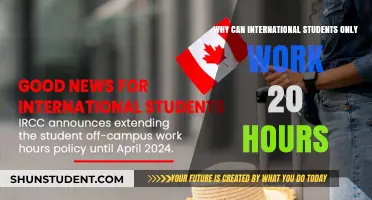International Students: Limited Work Hours Explained