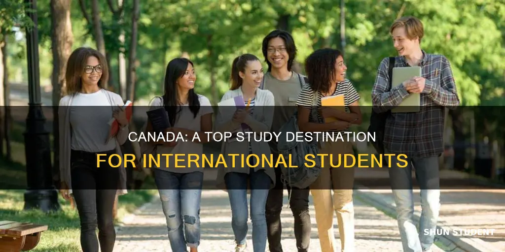 why canada is best for international students