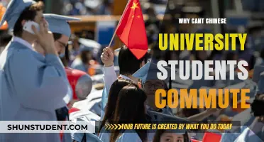 Chinese University Students Face Unique Commuting Challenges: Unraveling the Mystery