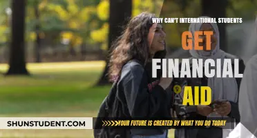 Financial Aid: International Students' Plight in the US