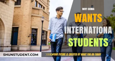 China's Strategy: International Students as Soft Power