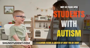 Co-Teaching Strategies for Autism: Empowering Special Education Students