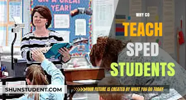 Co-Teaching Strategies: Empowering Special Education Students for Success