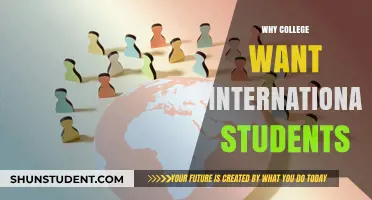 International Students: Colleges' Diversity Advantage
