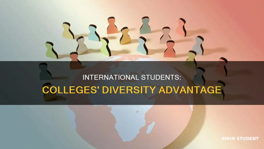 why college want international students