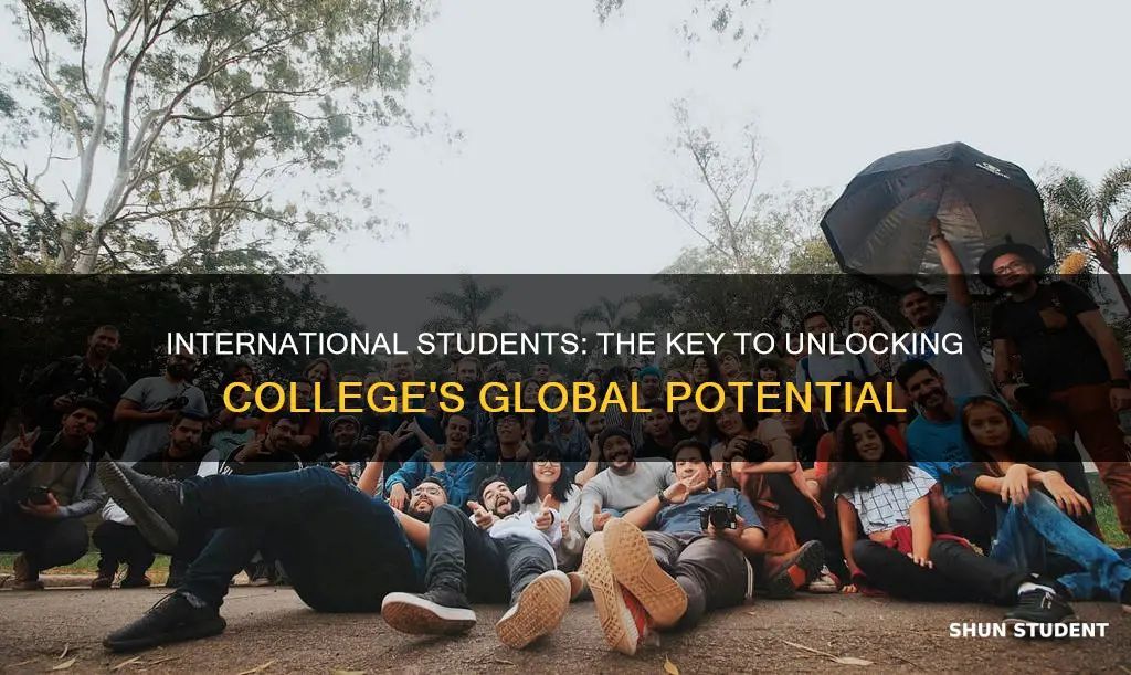 why colleges and universities want international students