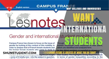 International Students: A Boon for Colleges and Universities