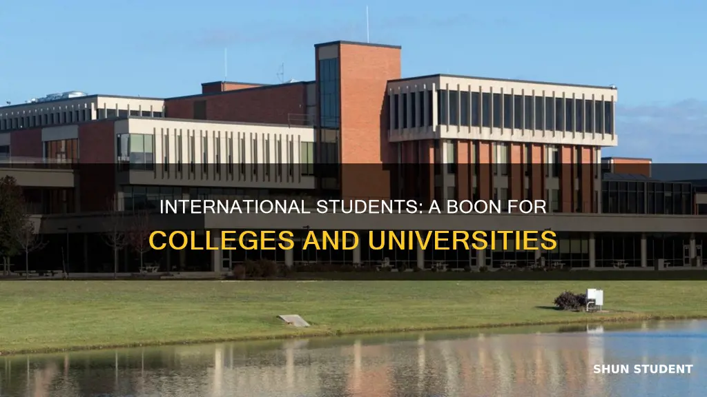 why colleges and universities want international students