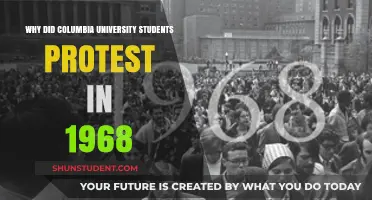 Columbia University Students' Protest: What Sparked It?