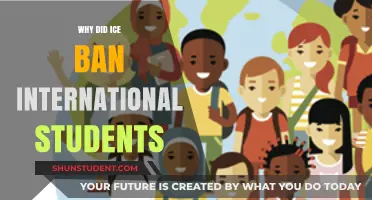 ICE's Ban on International Students: What's the Reason?