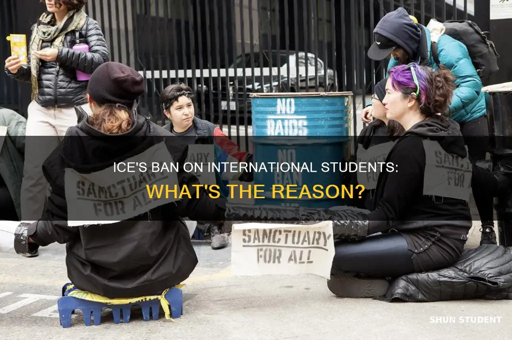 why did ice ban international students