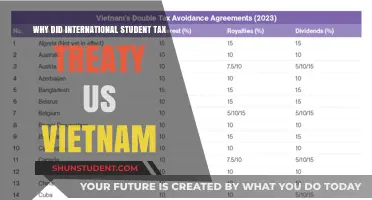 Understanding Tax Treaties: US and Vietnam