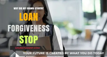 Why Did My Obama Student Loan Forgiveness Suddenly Stop?