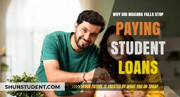 Niagara Falls: Student Loans and the Power of Nature