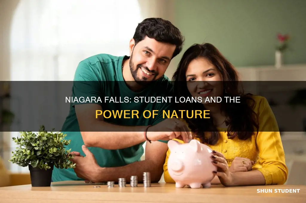 why did niagara falls stop paying student loans