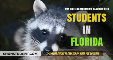Florida Teacher's Disturbing Raccoon Drowning Incident Sparks Outrage and Debate