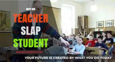 Teacher Slaps Student: Unraveling the Shocking Incident and Its Aftermath