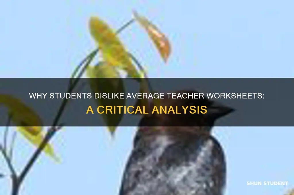 why did the student dislike the average teacher worksheet