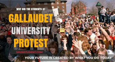 Gallaudet University's Deaf Students: A Fight for Inclusion and Access