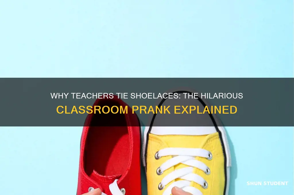 why did the teacher tie her students shoelaces together joke