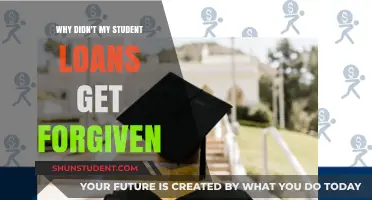Why Student Loan Forgiveness Didn't Happen: Understanding the Reasons