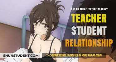 Exploring Anime's Fascination with Teacher-Student Relationships: A Cultural Analysis