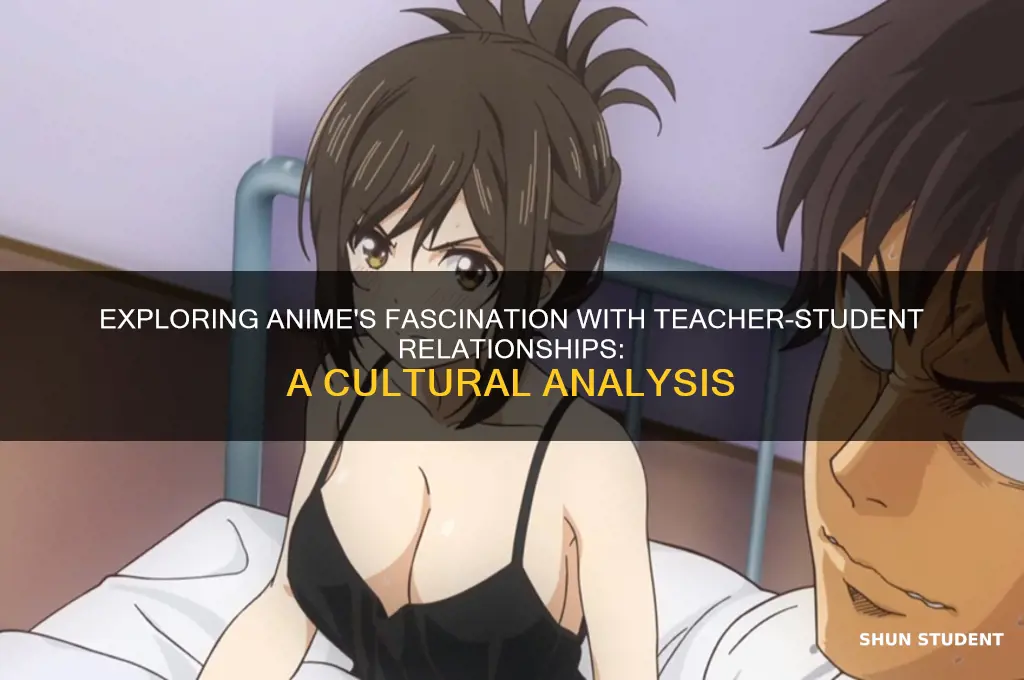 why do anime feature so many teacher student relationships