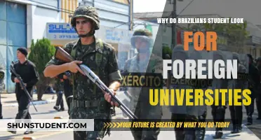 Brazilian Students Seek Foreign Universities: Why?