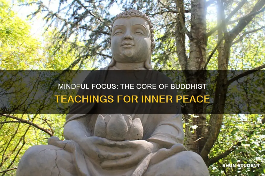 why do buddist teachers teach students focus