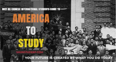Chinese Students in America: The Education Factor