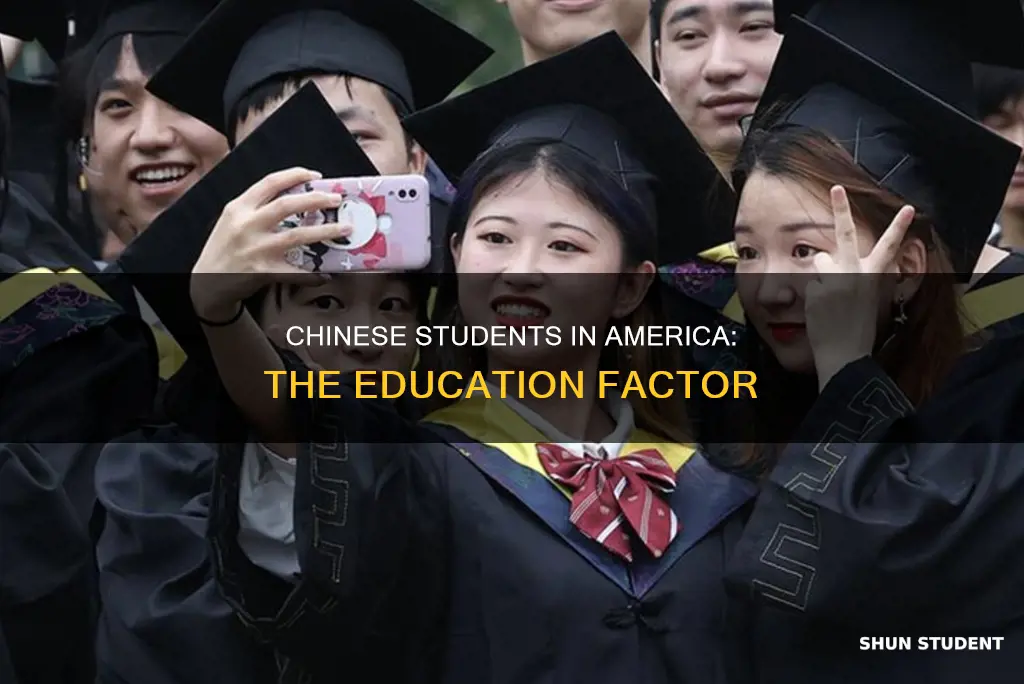 why do chinese international students come to america to study