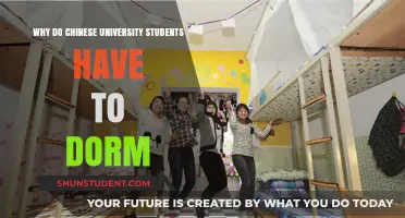 Dorm Life: Unlocking the Secrets of Chinese University Housing