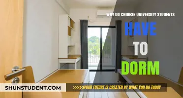 University Dorm Life: A Chinese Student's Story