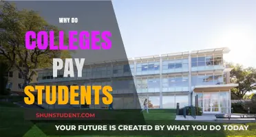 How Students Earn from Colleges