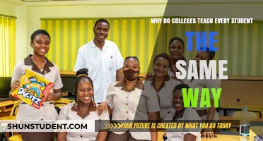 One Size Fits All? The Uniform Teaching Approach in Colleges