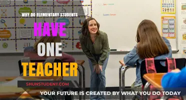 One Teacher, Many Benefits: The Elementary Classroom Model Explained
