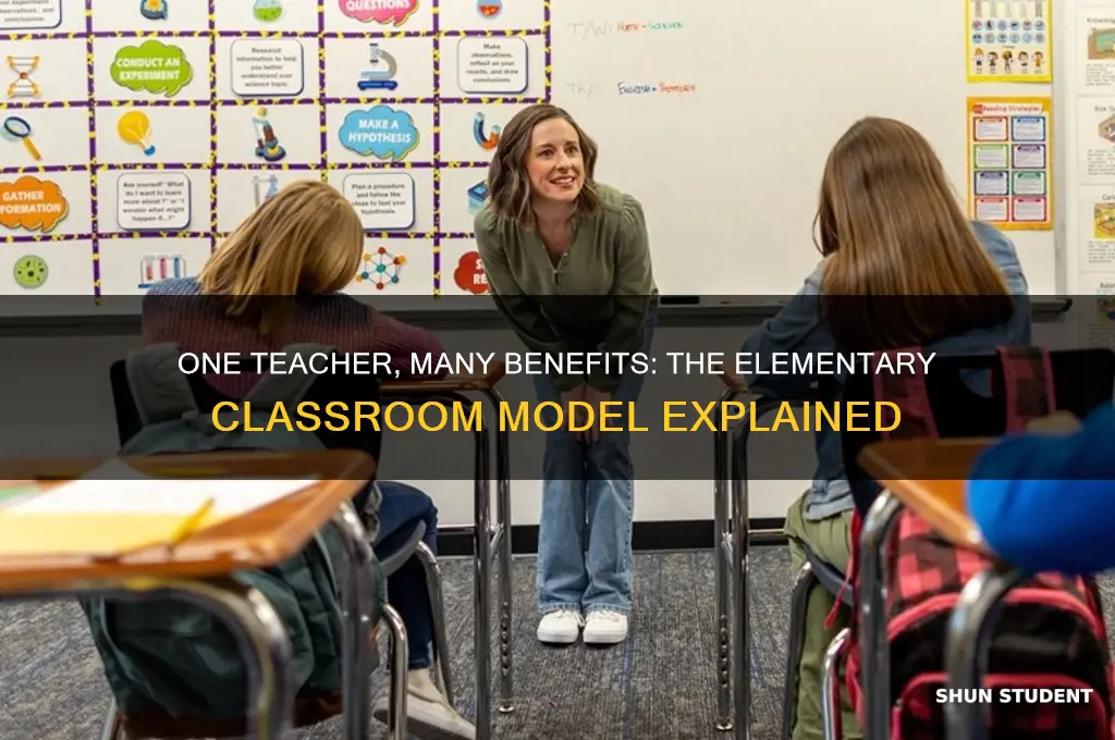 why do elementary students have one teacher