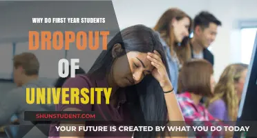University Dropouts: Why Freshmen Leave Campus