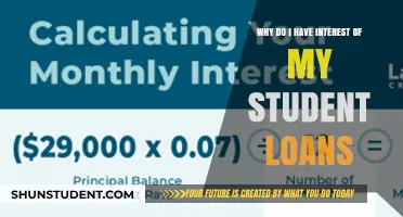 Decoding the Intrigue: Why Student Loans Captivate Our Interest