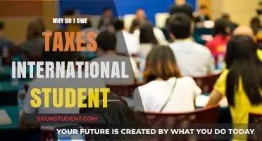 Taxes for International Students: What You Need to Know