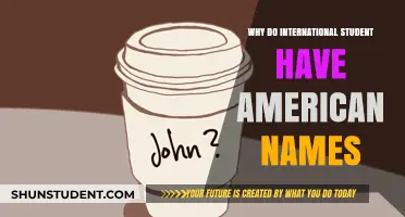 Adopting American Names: International Students' Cultural Adaptation