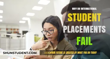 Understanding the Pitfalls of International Student Placements