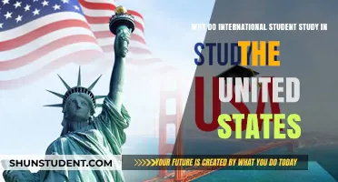 International Students: Why the US?