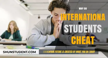 Academic Dishonesty: International Students' Pressures and Cheating