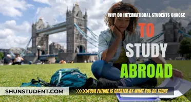 Exploring Global Education: International Students' Motivations