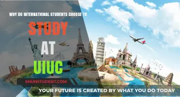UIUC: A Global Education Destination